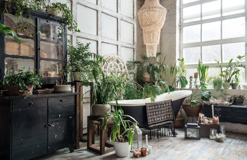 Urban Jungle giữa lòng đô thị