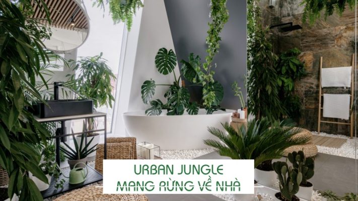 Urban Jungle - Mang rừng về nhà